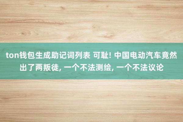 ton钱包生成助记词列表 可耻! 中国电动汽车竟然出了两叛徒, 一个不法测绘, 一个不法议论